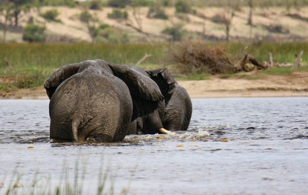 Carte botswana : explorer les régions clés et leurs particularités