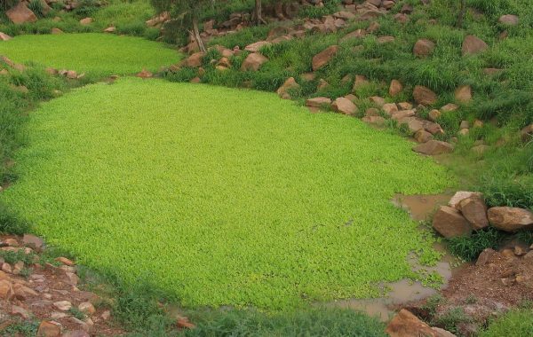 Carte du mali : une vue détaillée pour mieux comprendre le pays